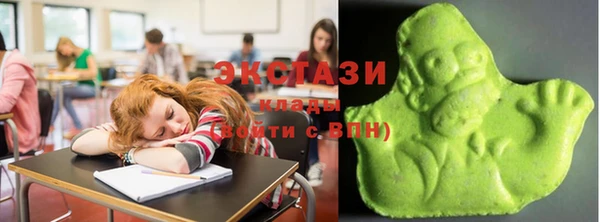 стаф Магас