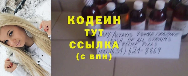 стаф Магас