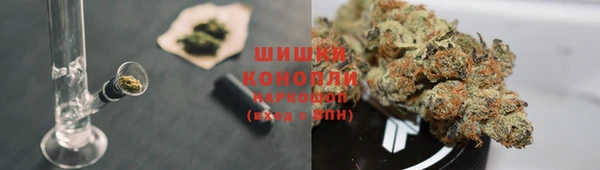 стаф Магас