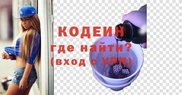 стаф Магас